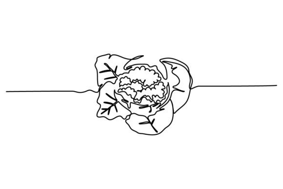 Cauliflower One Continuous Line Design