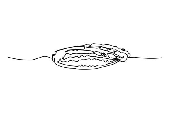 Chinese Cabbage Onion One Continuous Design Guide