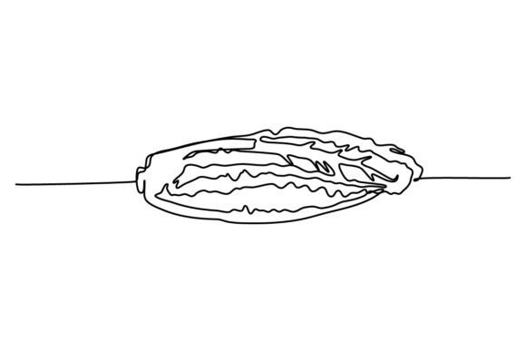 Kimchi One Continuous Line Design