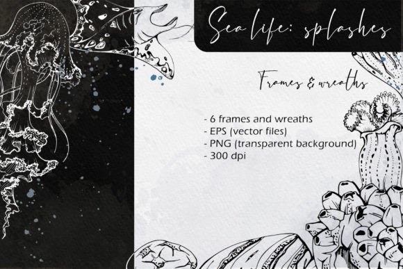 Sea Life Splashes Frames