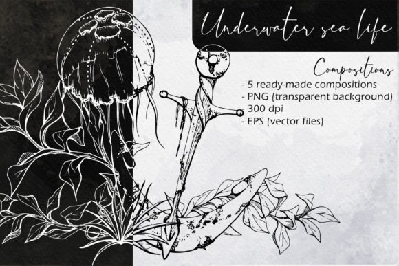 Underwater Sea Life Compositions: A Creative Resource for Designers and Businesses