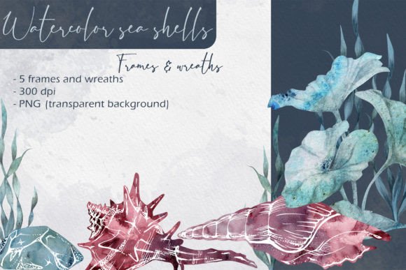 Watercolor Sea Shells Frames and Wreaths